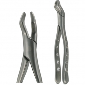 American Pattern Forceps